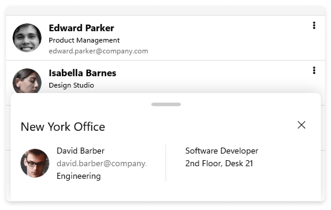 BottomSheet Header Telerik UI for .NET MAUI