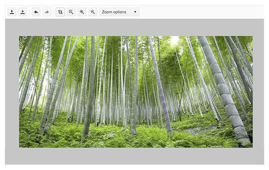 Image Editor header