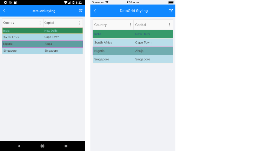 data grid styling options