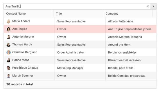 Telerik UI for ASP.NET Core MultiColumnComboBox - Header