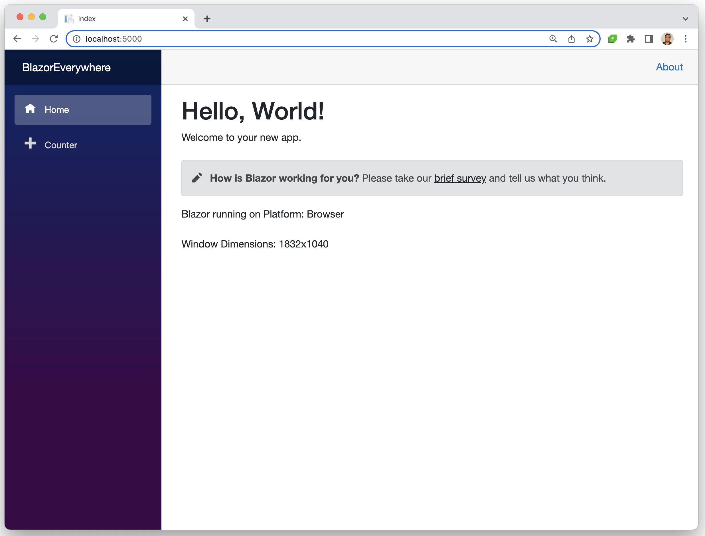 Blazor Implementations Across Web Native Blazor Implementations Across Web Native