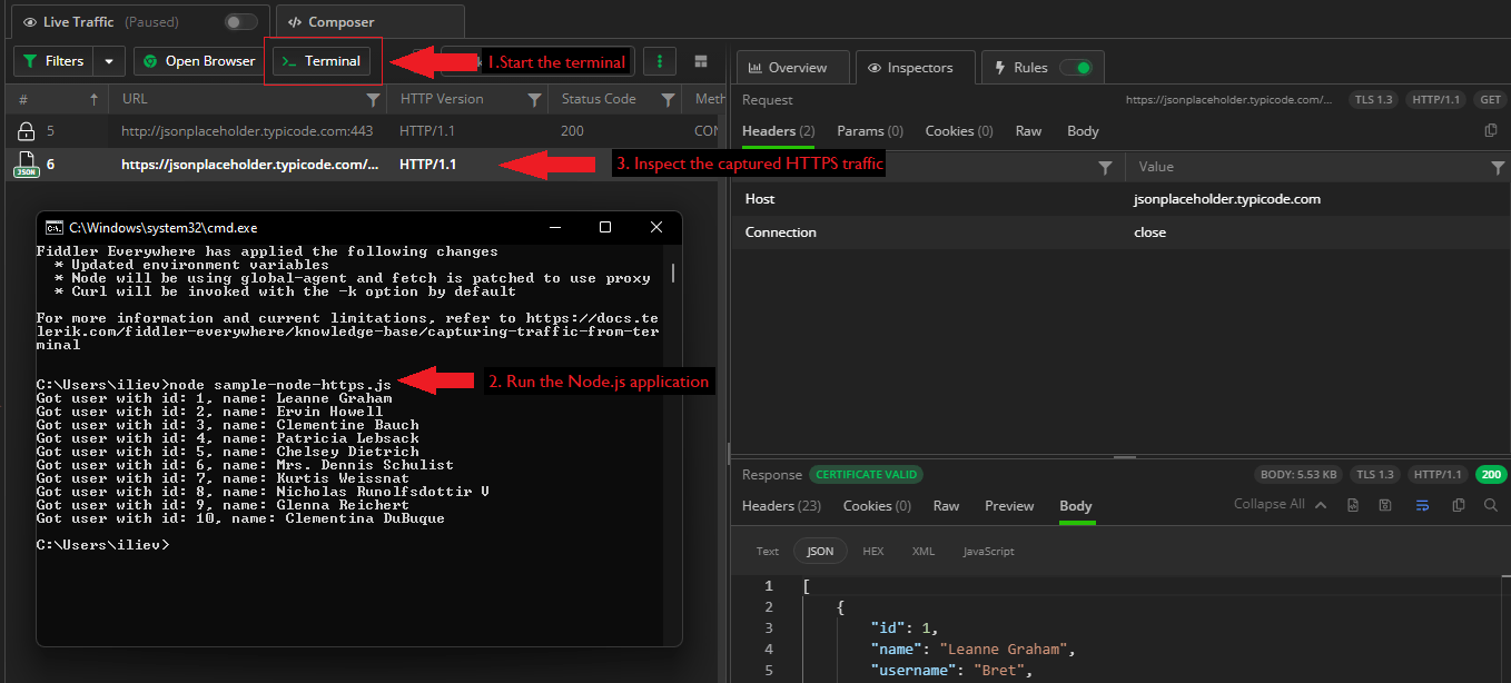 Using Fiddler's terminal with NodeJS application