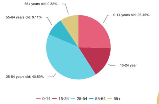 An example of a pie chart