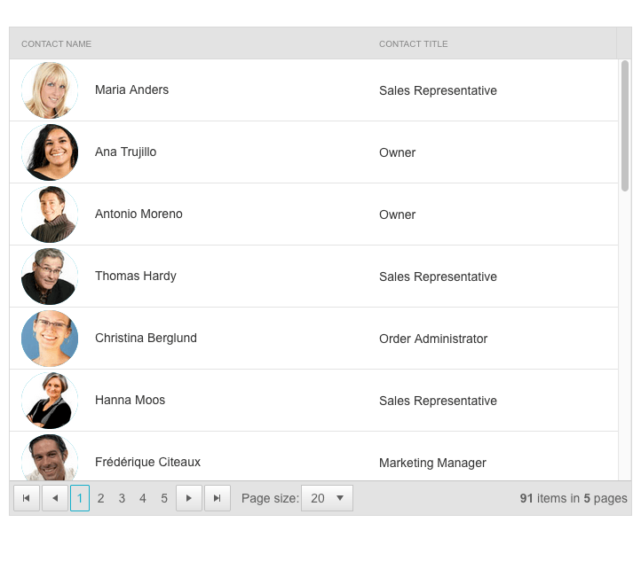 Telerik UI for ASP.NET AJAX Avatar-Grid Integration