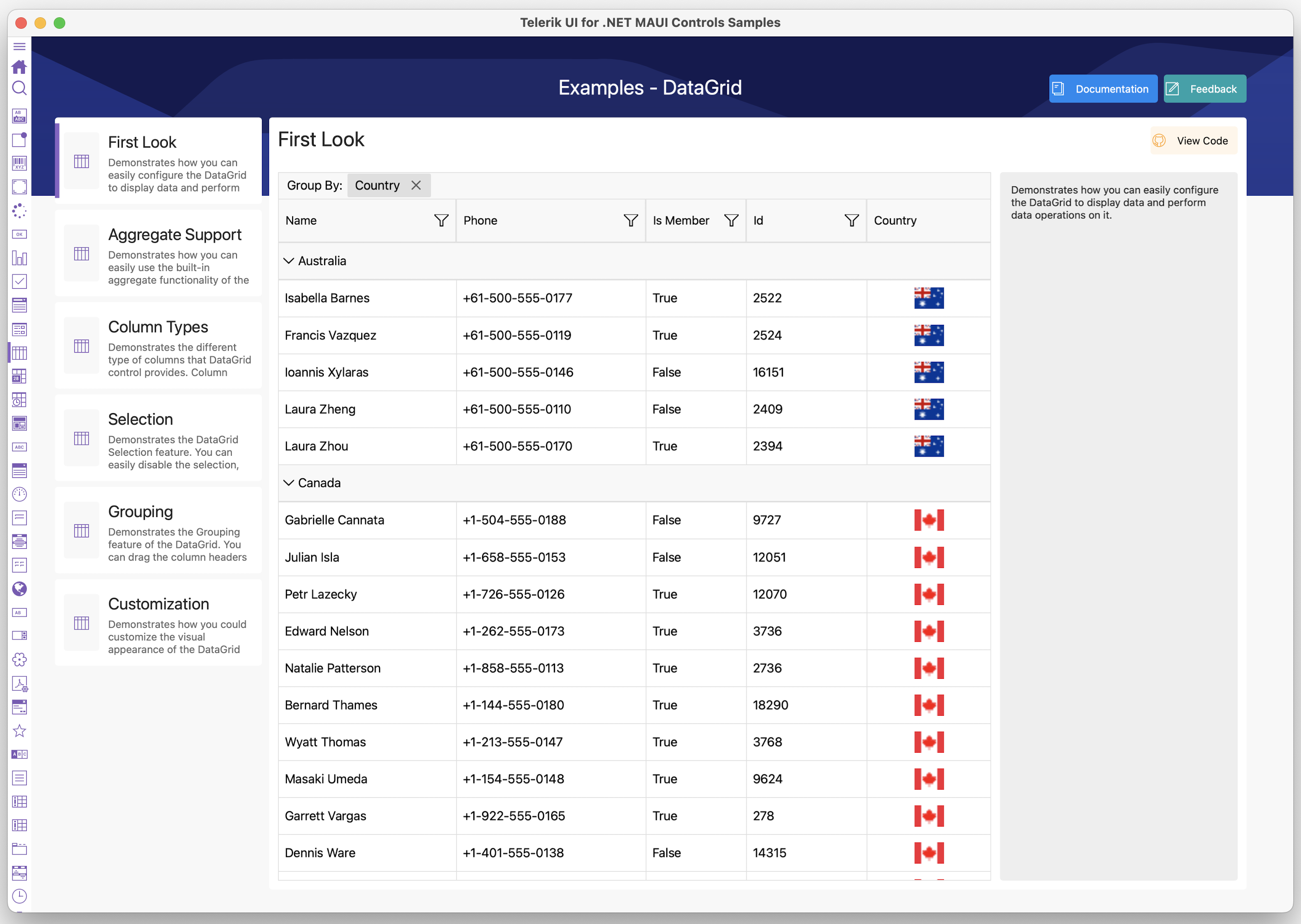 Telerik UI for .NET MAUI Data Grid examples