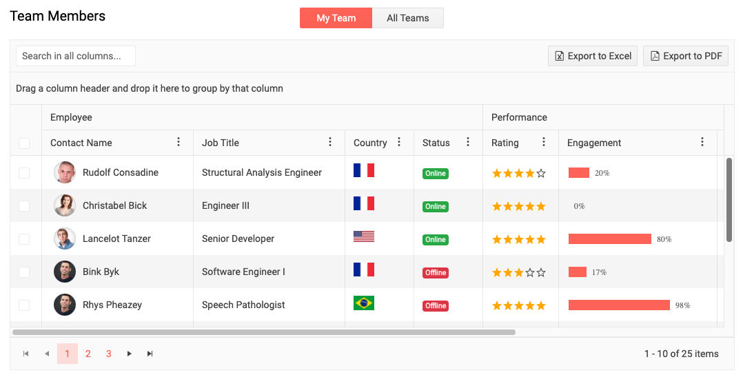 Customizable Angular Data Grid