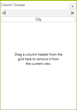 ColumnChooser Column chooser filter
