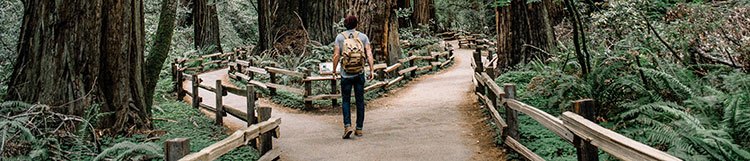 Preparing Your Toolbox for the SharePoint Framework