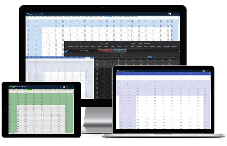 Telerik UI for WPF - Virtual Grid CTP