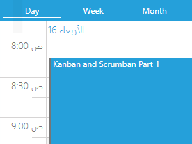 Telerik UI for WPF - RadSheduleView - Arabic calendars support