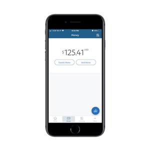 paypal-money The total money sitting in the PayPal account for transfer or payment is $125.41 USD>