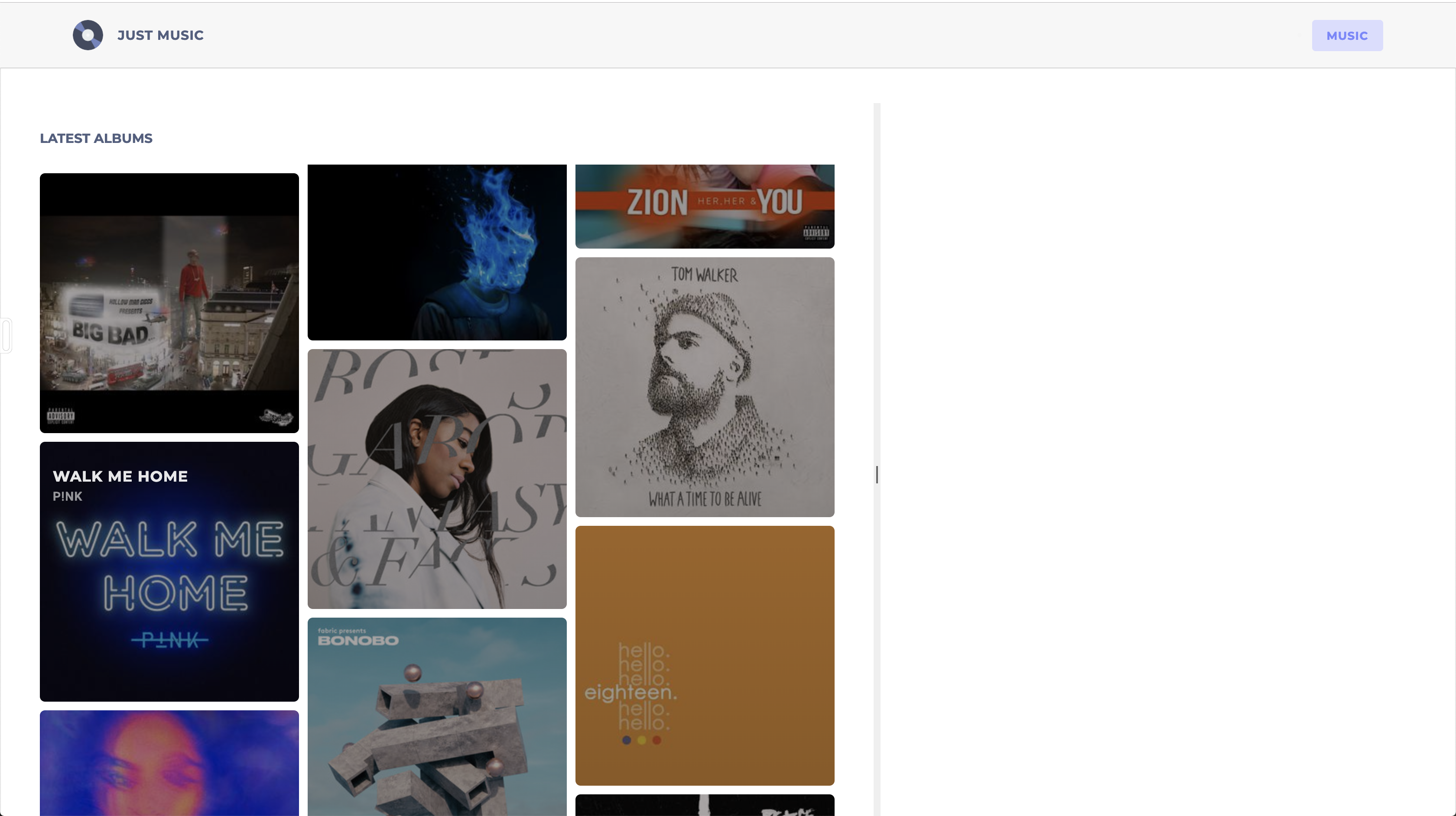 application on the browser showing us the albums listed