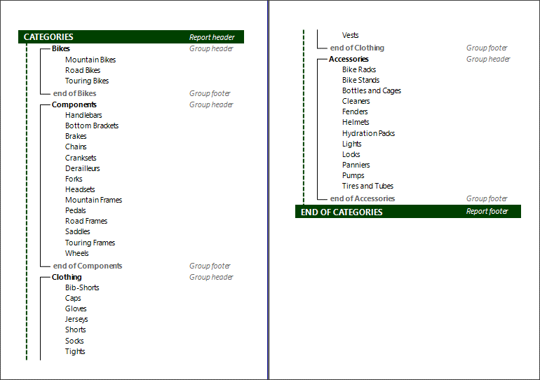 Improved Form Type Reports in Telerik Reporting