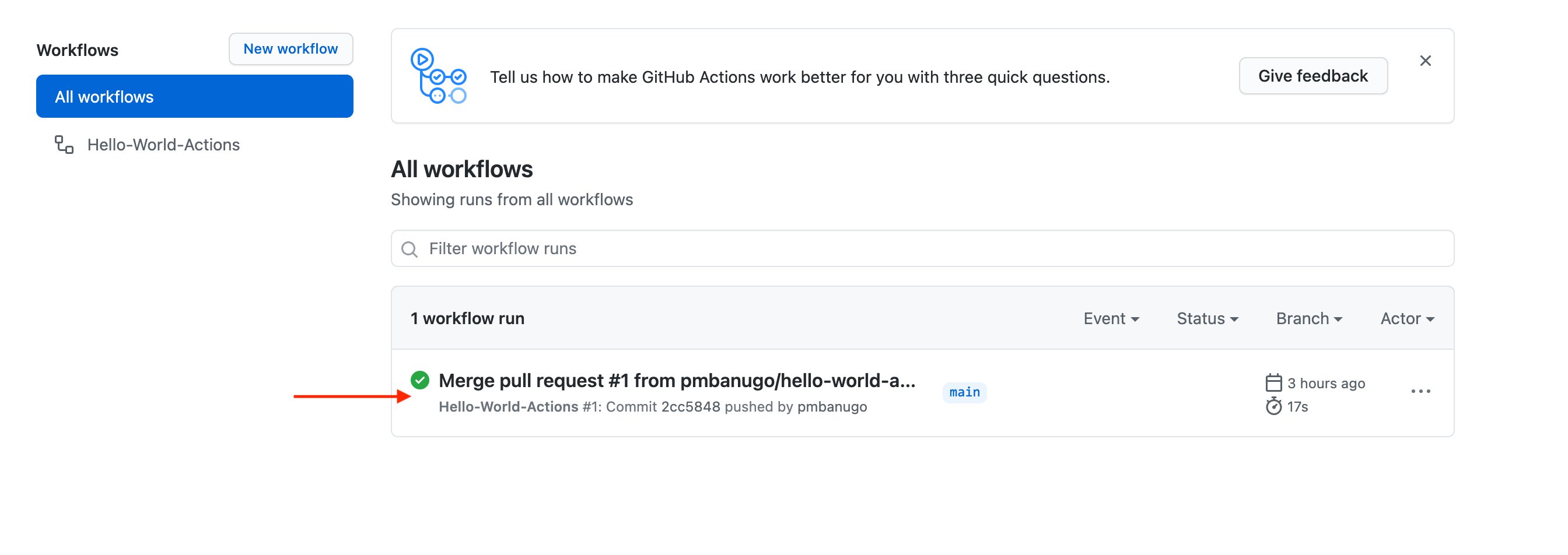 Github actions run