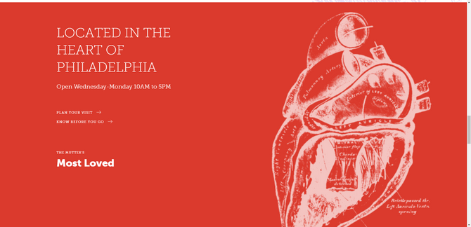 A screenshot from one of the sections on the Mütter Museum home page. It has a red background and a detailed illustration of the human heart on the right. The headline on the left reads “Located in the Heart of Philadelphia” and it’s followed by information on operating hours Wednesday to Monday 10 a.m. to 5 p.m.