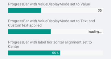 Xamarin Progress Bar Control - label customization