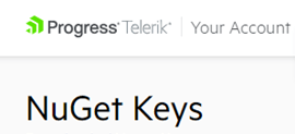 NuGet Keys List Image