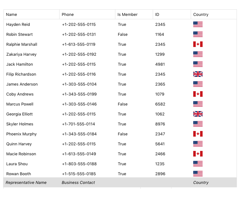 DataGrid Column Footers - at the bottom of a grid, there is a footer under the Name column with 'business representative'; 'phone' column has 'business contact', country has 'country'