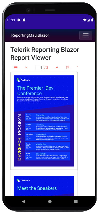 Reporting MAUI Blazor on a mobile device