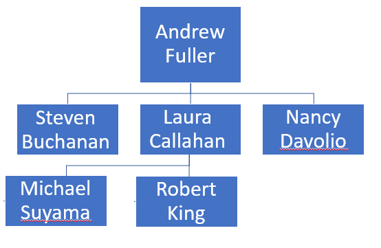 An organization chart with Andrew Fuller at the top with three employees reporting to him: Steven Buchanan, Laura Callahan, and Nancy Davolio. Two people report to Laura Callahan in this chart: Michael Suyama and Robert King.