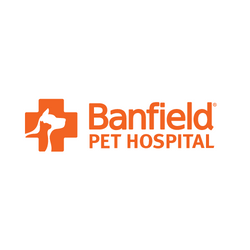 The logo for Banfield Pet Hospital is clean and modern in design. On the left is a health cross symbol with the shape of a dog and cat inside it. On the right is the name of the company.