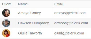 Client, Name, Email columns show three rows of entries in a standard table or grid layout