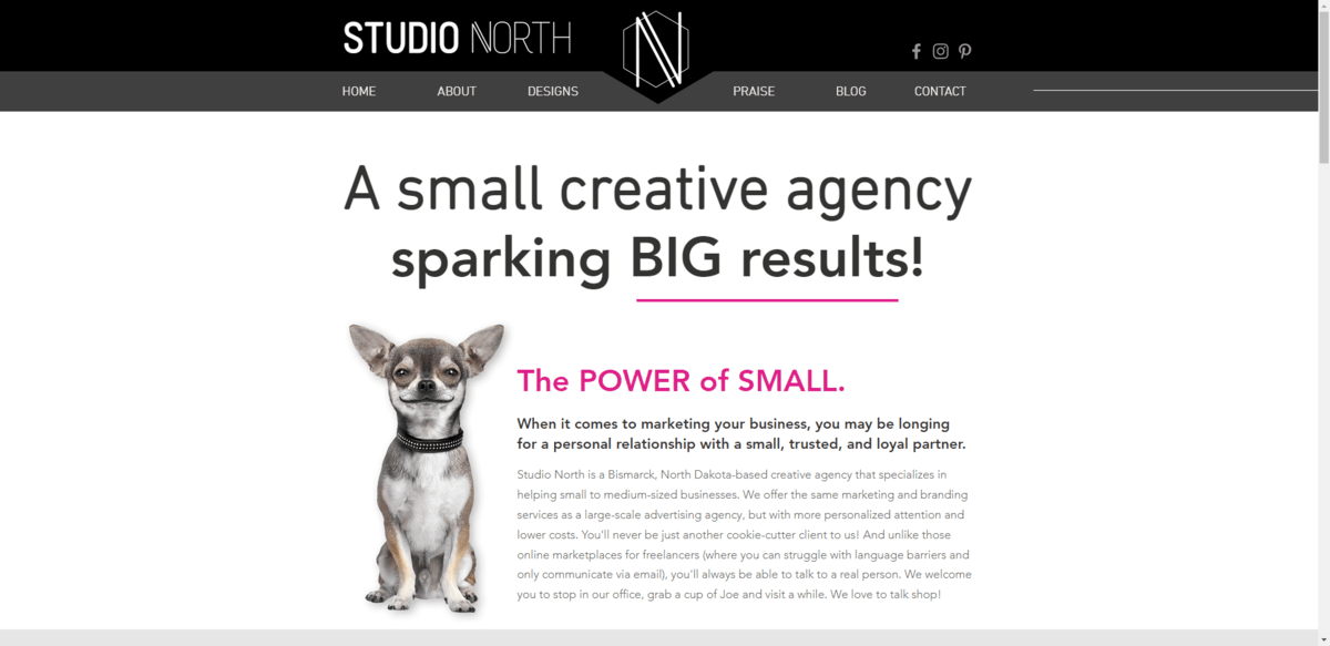 The hero section on the Studio North website reads: “A small creative agency sparking BIG results!” Below it is a photo of a smiling chihuahua with a subheadline in pink that says “The POWER of SMALL”.