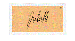 Signature is selected