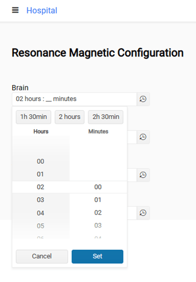 resonance-magnetic-configuration app allows time inputs