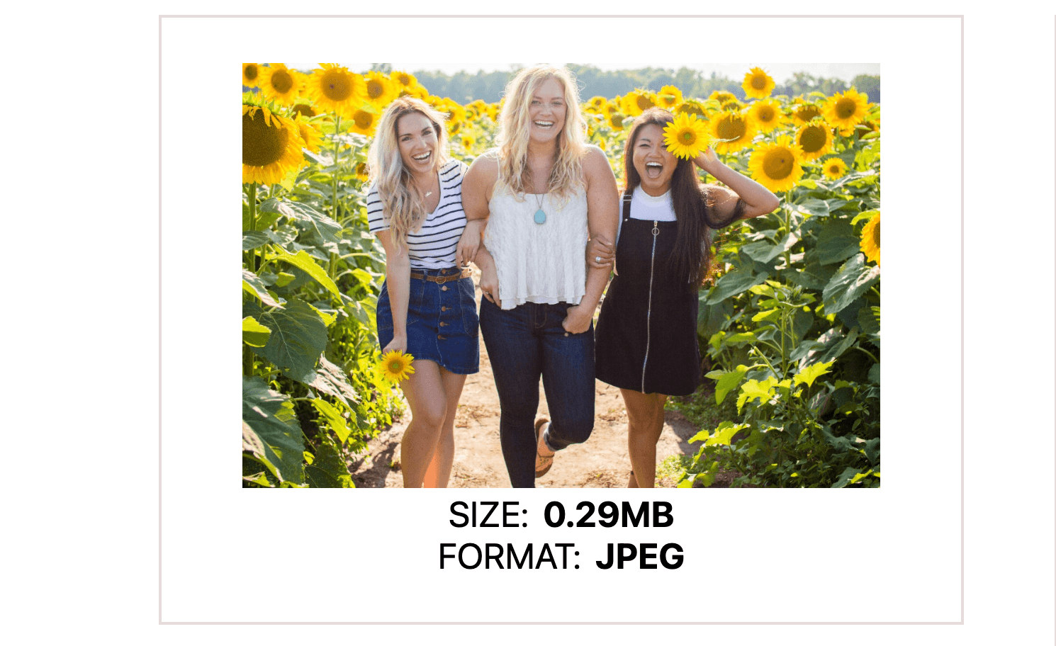 Image preview component - image, size: 0.29MB, format: JPEG