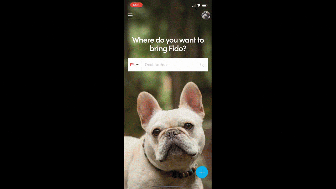 A GIF of the BringFido mobile app. The home tab has a search field that asks, “Where do you want to bring Fido?” The search bar has an icon on the left and a search field that says “Destination” on the right. When the user clicks the icon dropdown, six options appear: Lodging, Restaurants, Activities, Events, Services, Blog.