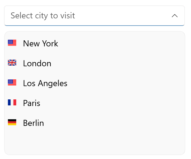 Select city to visit dropdown has New York, London, Los Angeles, Paris, Berlin, each with a small icon of its country's flag