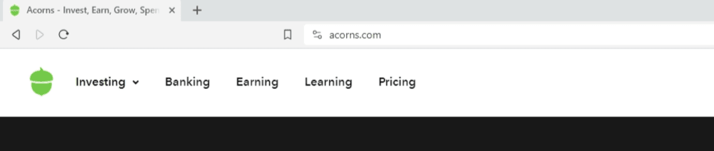 The Acorns logo and favicon are identical. They’re the green cutout acorn shape.