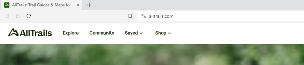 Although the AllTrails logo and symbol are a dark green on the site, the mountain-shaped favicon is a neon green on a dark green background.
