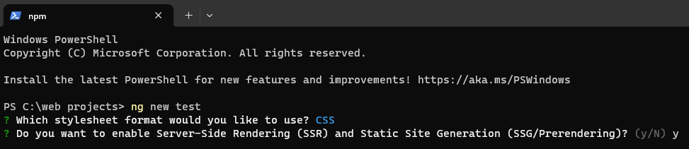 ng new test asks which stylesheet format; user has CSS. Do you want to enable Server-Side Rendering (SSR) and Static Site Generation (SSG/Prerendering)? y