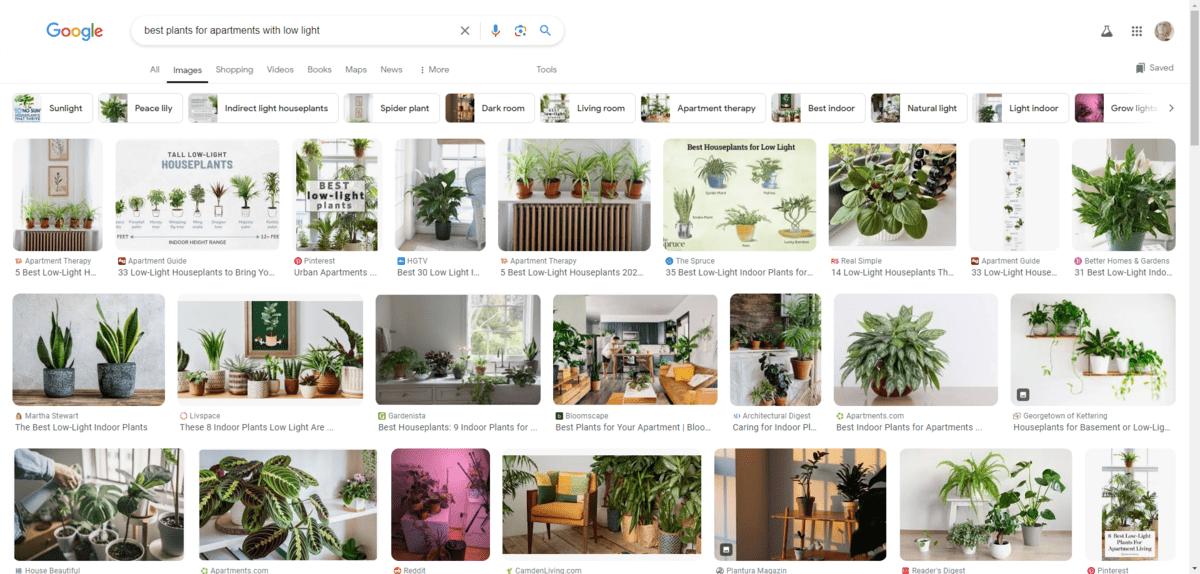 A Google Images search for “best plants for apartments with low light”. We see three rows of results, some with images of houseplants and others with custom graphics and infographics depicting the best plants to choose.