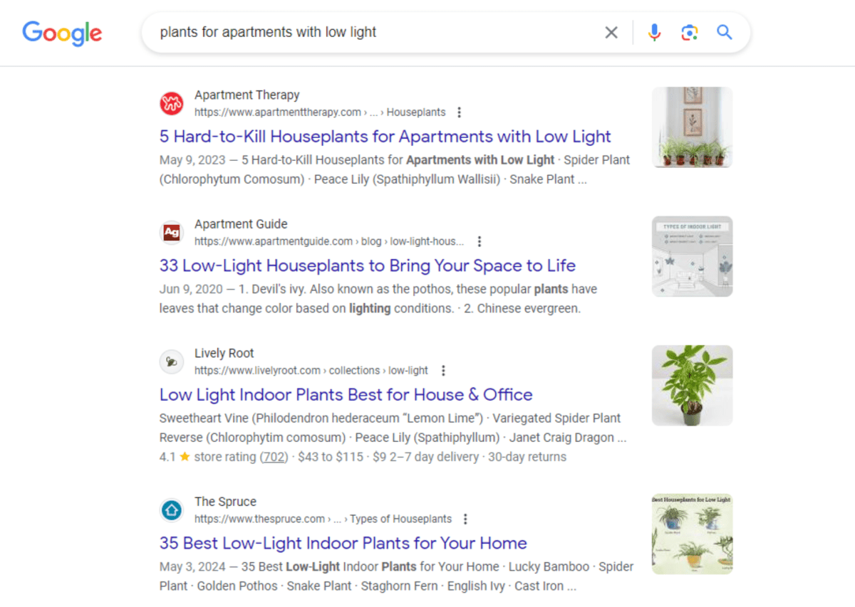 In the search results for “plants for apartments with low light”, we see pages from Apartment Therapy, Apartment Guide, Lively Root, and The Spruce, all with accompany plant photos or illustrations.