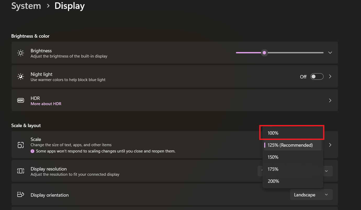 System - Display: Scale & Layout is set to the recommended 125%. User has highlight 100%