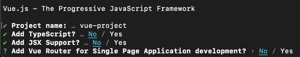 vue-project setup. add TS - no. Add JSX - no. Add Vue Router for Spa? no