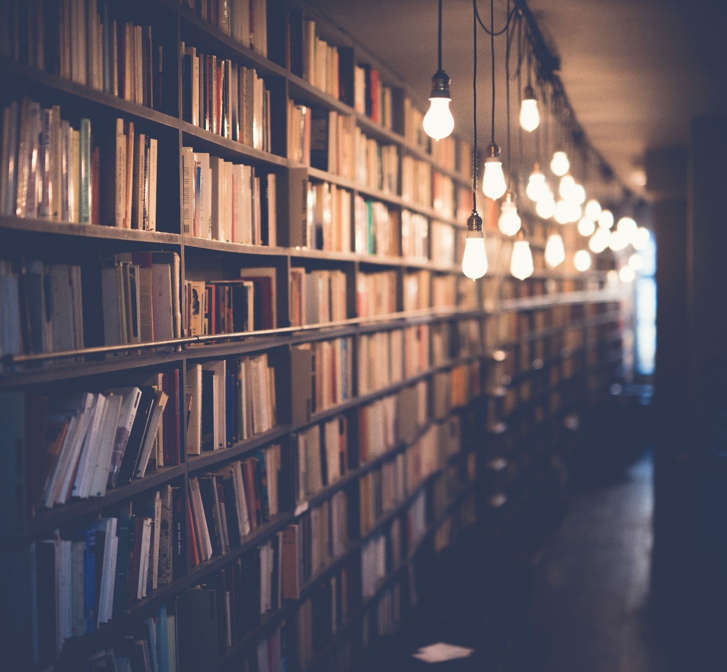 A moody photograph of a row of books on shelves