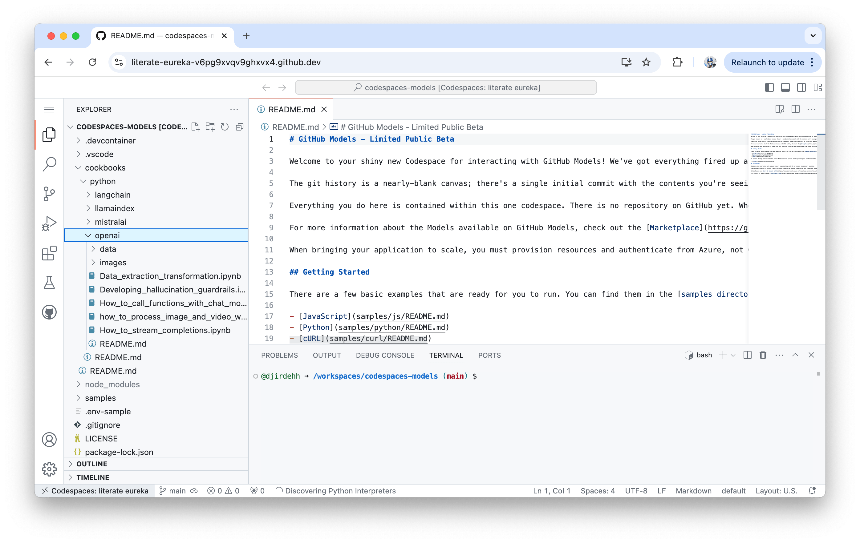 A GitHub Codespace for interacting with GitHub Models