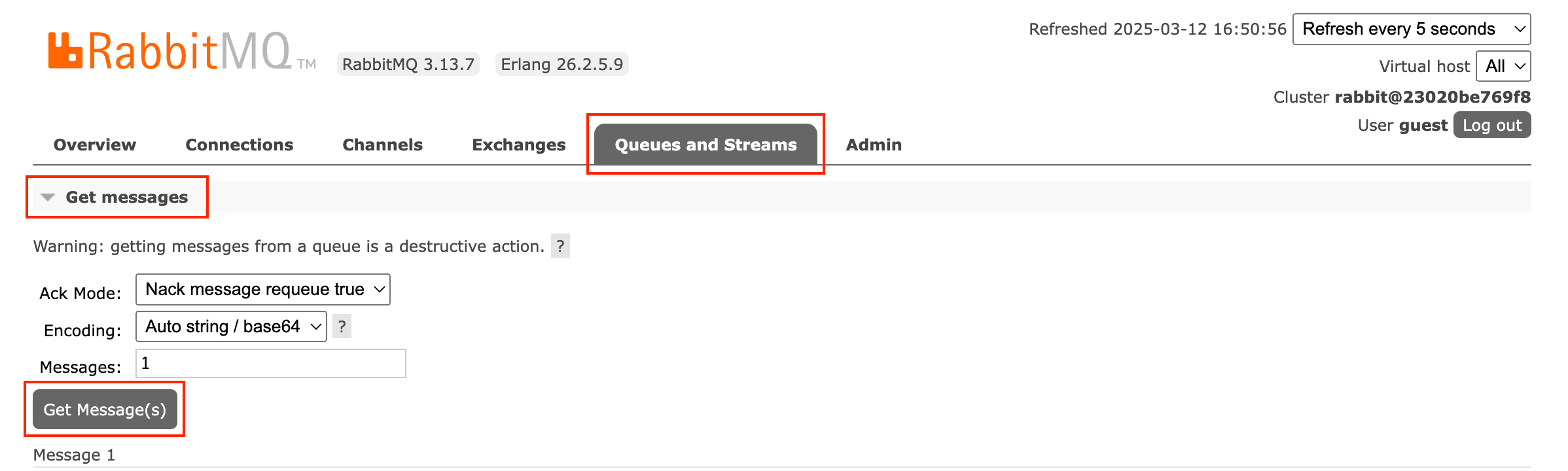 RabbitMQ get messages