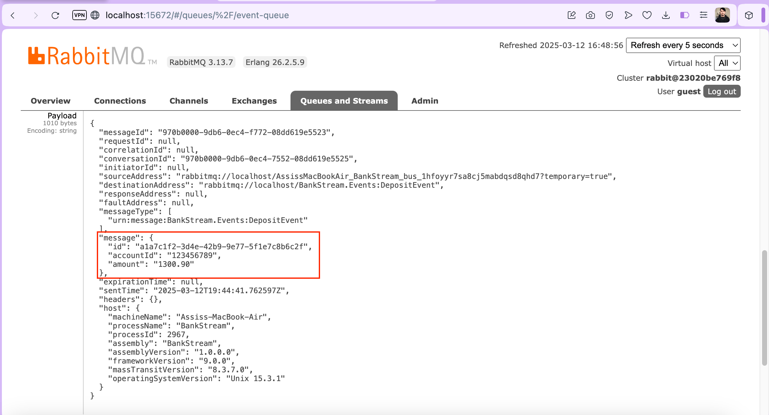 RabbitMQ message details
