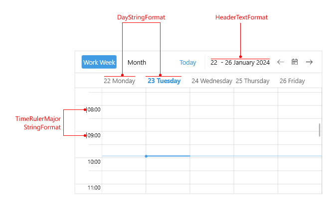 Scheduler Day, Week and MultiDay Views