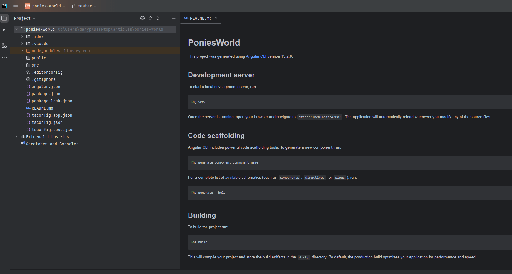 Angular project folder in the editor