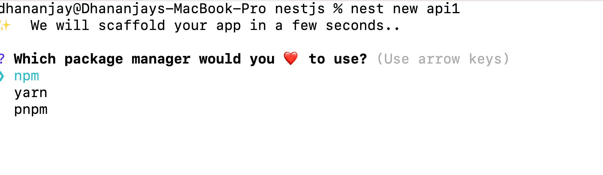 nest new api1