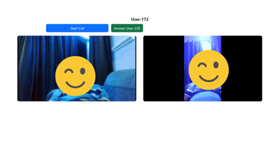 Image showing successful video chat