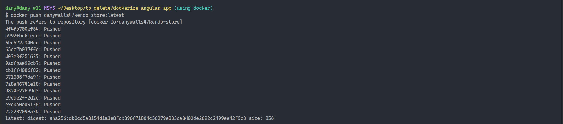 docker push danywalls4/kendo-store:latest
