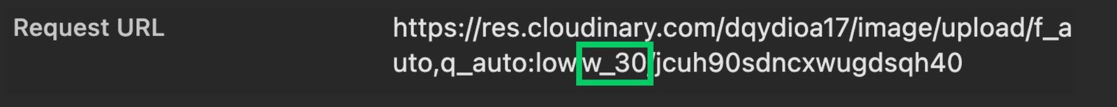 Placeholder image has width set by default