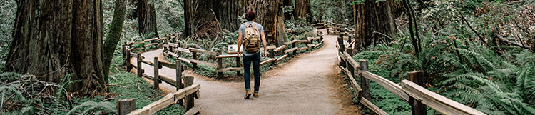 choose_path